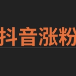 从0起步打造100万粉丝抖音月入5万课程 10天抖音实操训练营0基础 抖音100万粉丝实战