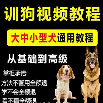 训狗教程 新概念训狗教程 比较实用的教程