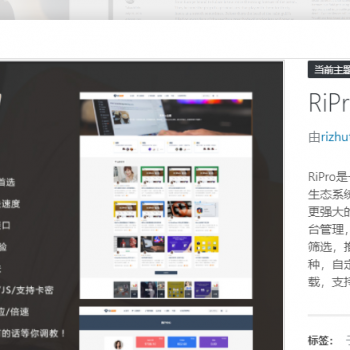 RiPro6.3.8主题最新版完整修复去后门和加密文件