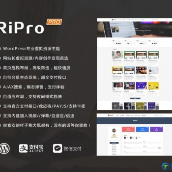 WordPress主题 RiPro 4.6 资源素材下载累主题免授权无限制版+全局美化包