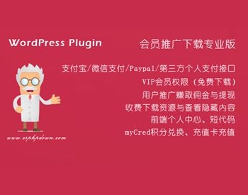 wordpress插件Erphpdown11.0 VIP收费下载插件