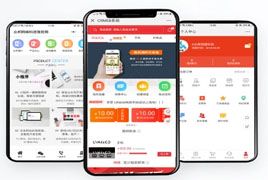 CRMEB  v.2.6.5 微信公众号小程序数据同步带分销砍价拼团微商城源码 用户佣金提现到微信零钱