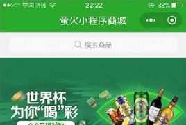 萤火微信小程序商城源码二次开发版