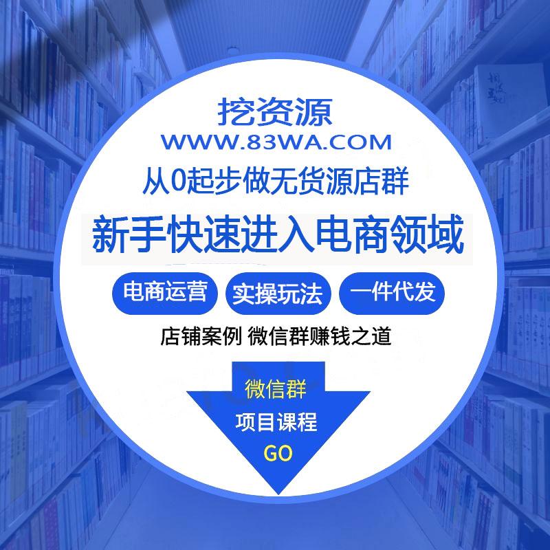 从0起步做无货源店群一件代发实操玩法：新手快速进入电商领域（40节视频）